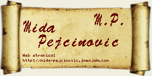 Mida Pejčinović vizit kartica